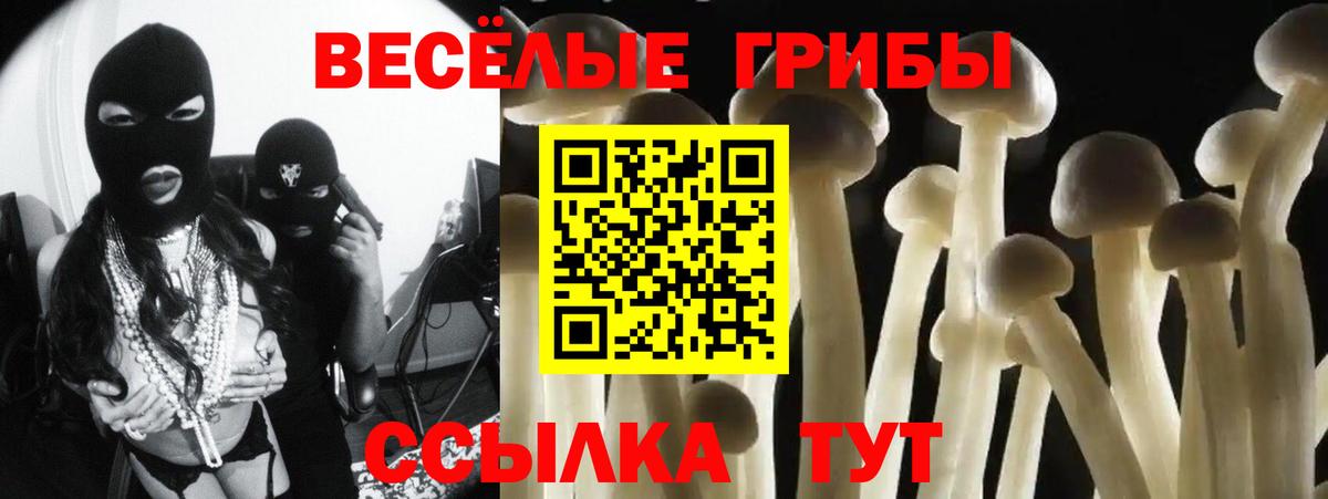 Псилоцибиновые грибы мухоморы  Галлюциногенные грибы Psilocybe  Кубинка  Вход с VPN 